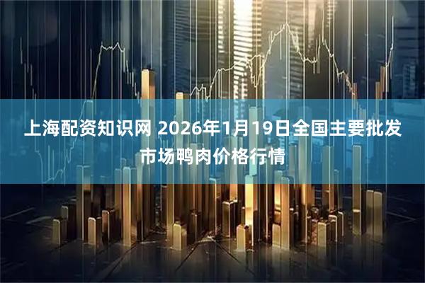 上海配资知识网 2026年1月19日全国主要批发市场鸭肉价格行情