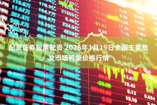 配资证券股票配资 2026年1月19日全国主要批发市场鸭梨价格行情