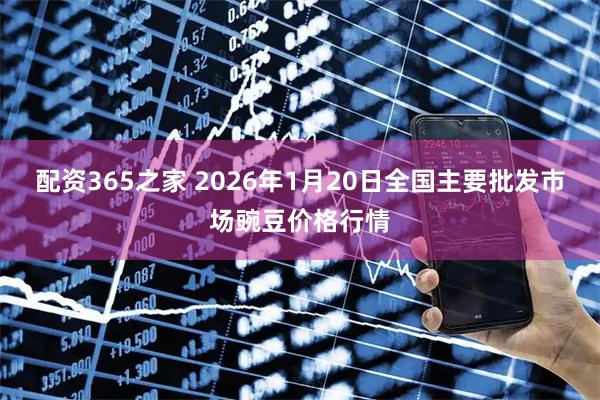 配资365之家 2026年1月20日全国主要批发市场豌豆价格行情