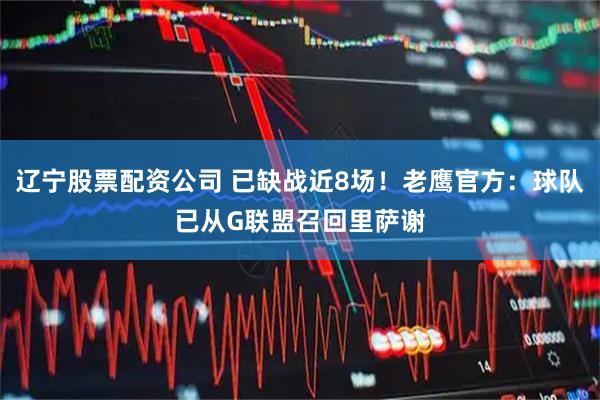 辽宁股票配资公司 已缺战近8场！老鹰官方：球队已从G联盟召回里萨谢