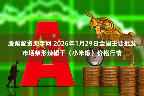 股票配资助手网 2026年1月29日全国主要批发市场条形辣椒干（小米椒）价格行情
