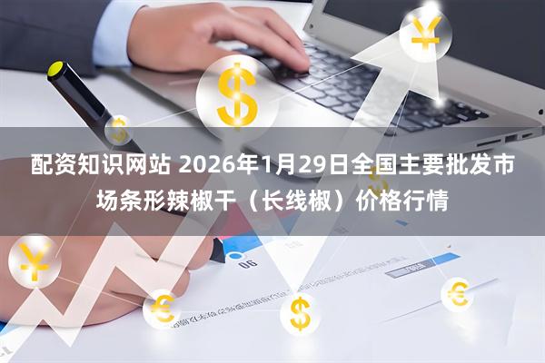 配资知识网站 2026年1月29日全国主要批发市场条形辣椒干（长线椒）价格行情