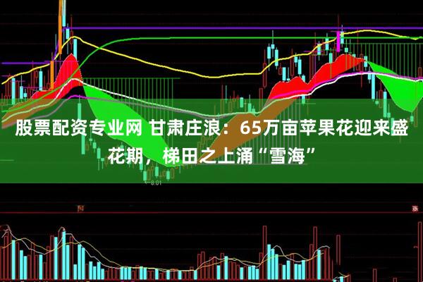 股票配资专业网 甘肃庄浪：65万亩苹果花迎来盛花期，梯田之上涌“雪海”