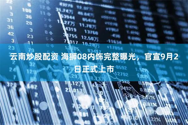 云南炒股配资 海狮08内饰完整曝光，官宣9月2日正式上市