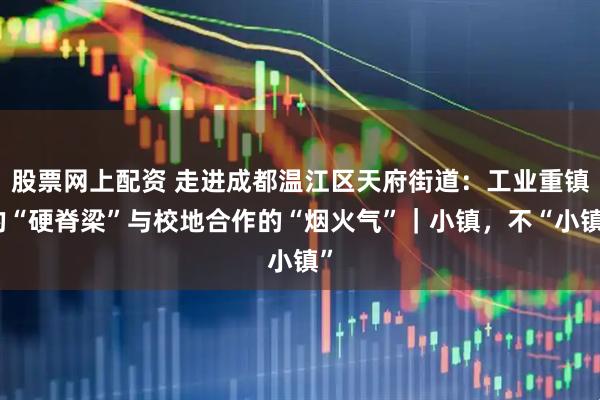股票网上配资 走进成都温江区天府街道：工业重镇的“硬脊梁”与校地合作的“烟火气”｜小镇，不“小镇”